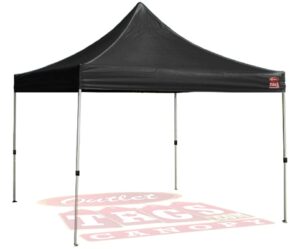 Popup Canopy Tent 10'X10' $55
