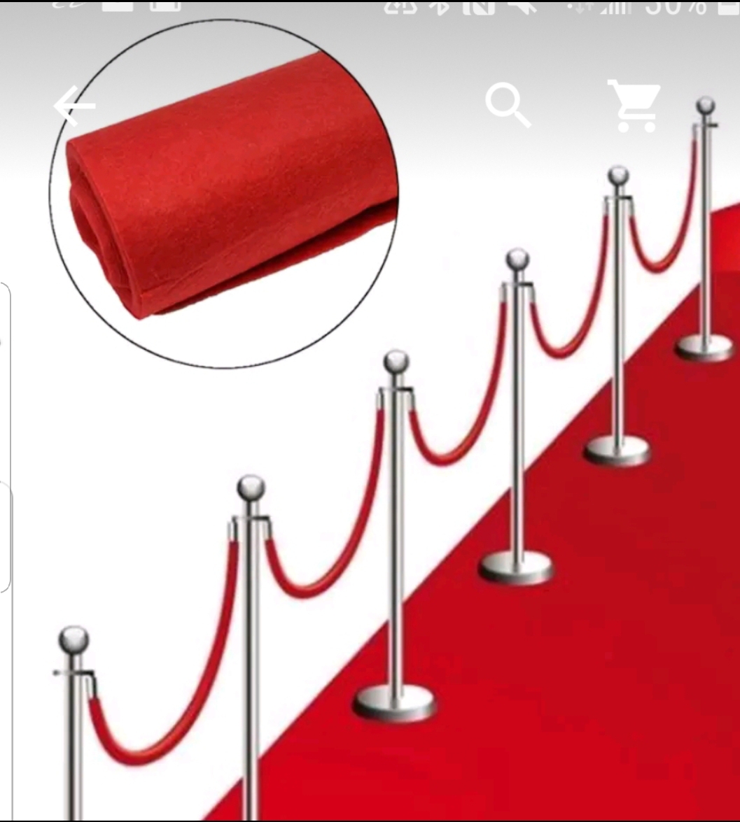 Red carpet with poles and rope $200/day